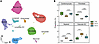 snRNA-seq reveals altered right ventricular cellular composition in pulmona