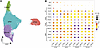 Apelin analog treatment alleviates transcriptomic remodeling across pulmona