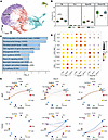 Apelin-analog treatment reverses fibroblast activation in pulmonary arteria