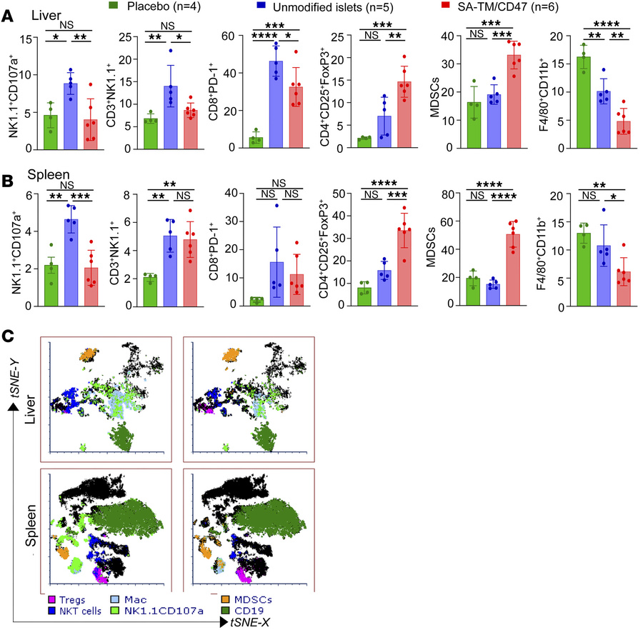 Deep immune monitoring of SA-TM/CD47–engineered islet recipients 3 days ...
