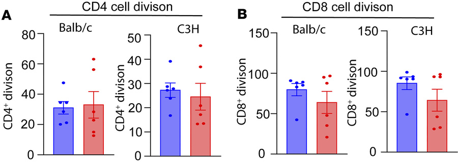 T cells of long-term islet graft survivors generate a normal response to...