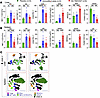 Deep immune monitoring of SA-TM/CD47–engineered islet recipients 3 days aft