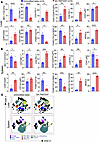 Deep immune monitoring of SA-TM/CD47–engineered islet recipients 12 days af