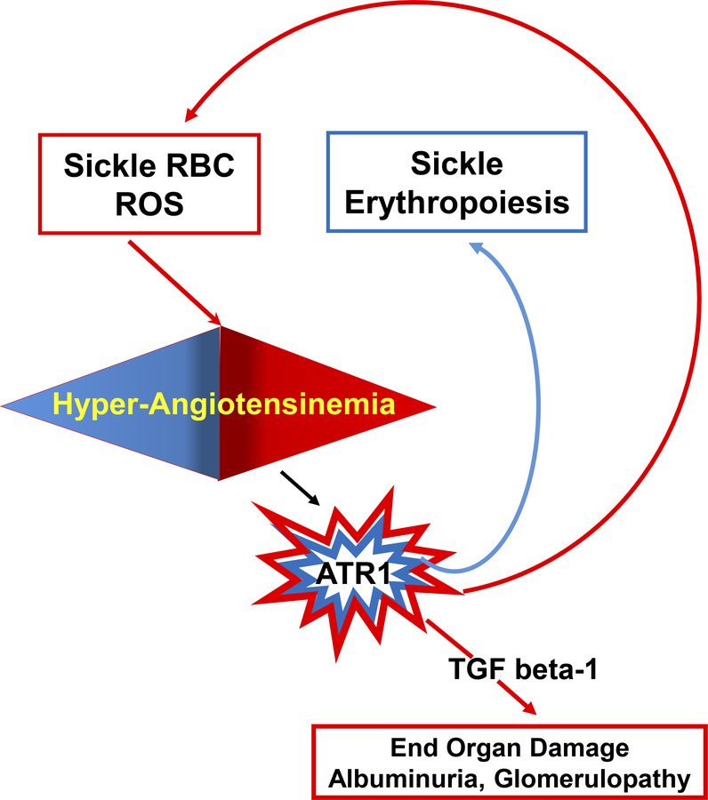 graphical abstract