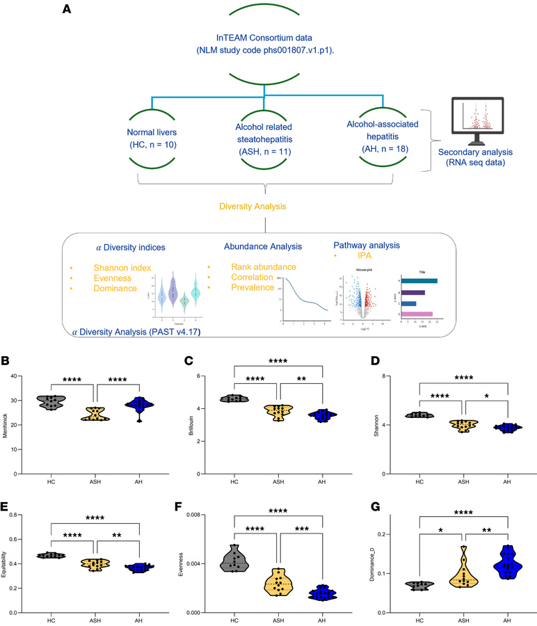 Study design and analytical workflow for transcriptome analysis of alcoh...
