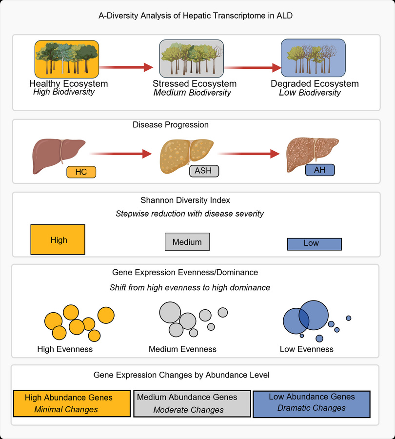 Conceptual framework for α-diversity analysis of hepatic transcriptome i...