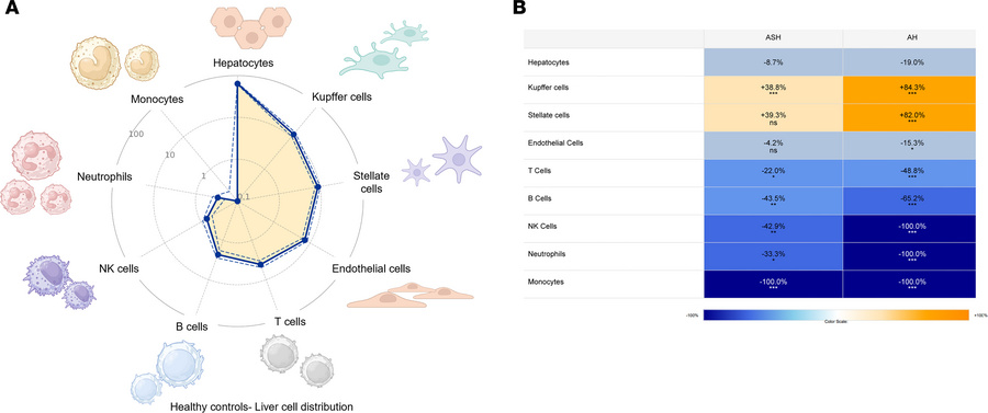 Liver cell type distribution.
(A) Radar plot displaying liver cell type ...