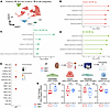MKO mice have increased endothelial type I IFN generation after NTS nephrit