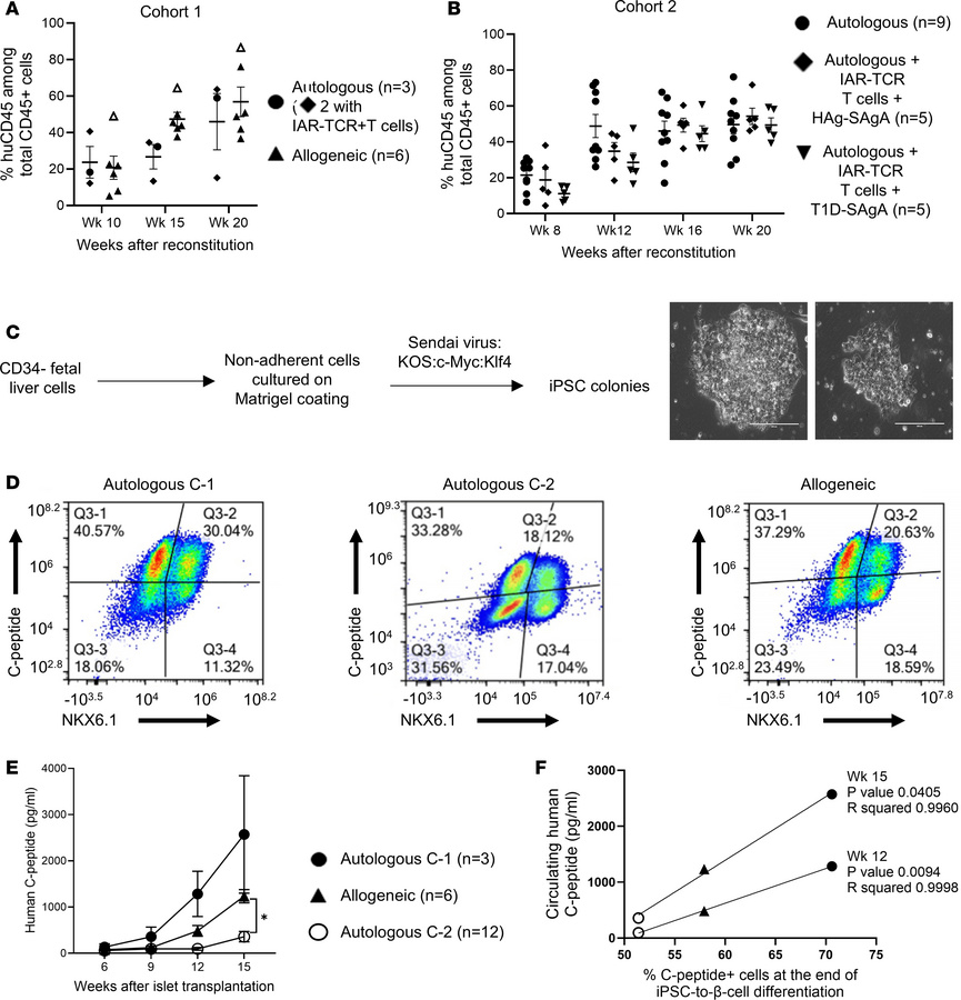 Human immune system and stem cell–derived islet reconstitution.
(A and B...