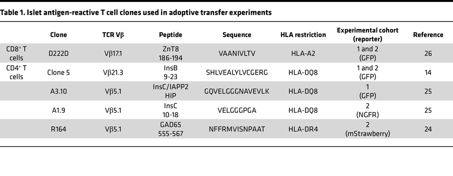 Islet antigen-reactive T cell clones used in adoptive transfer experiments