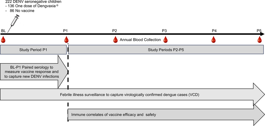 A 5-year prospective cohort study to evaluate the performance of a live ...