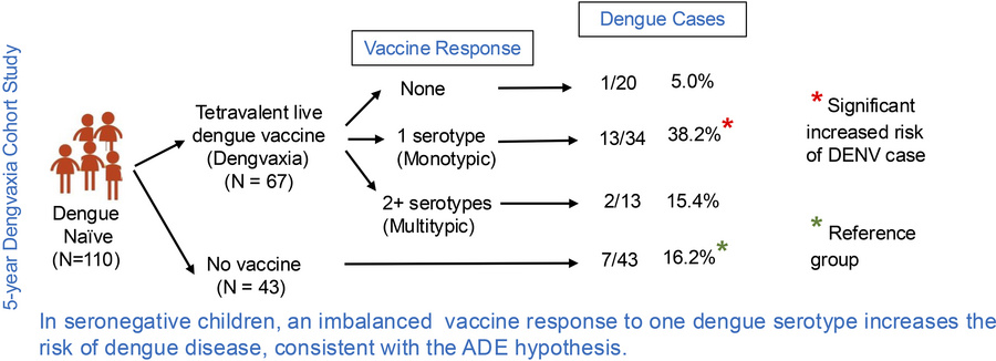 graphical abstract