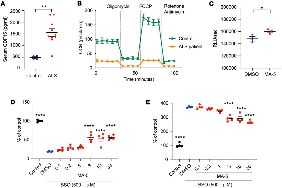 MA-5 restores mitochondrial function in fibroblasts derived from patient...