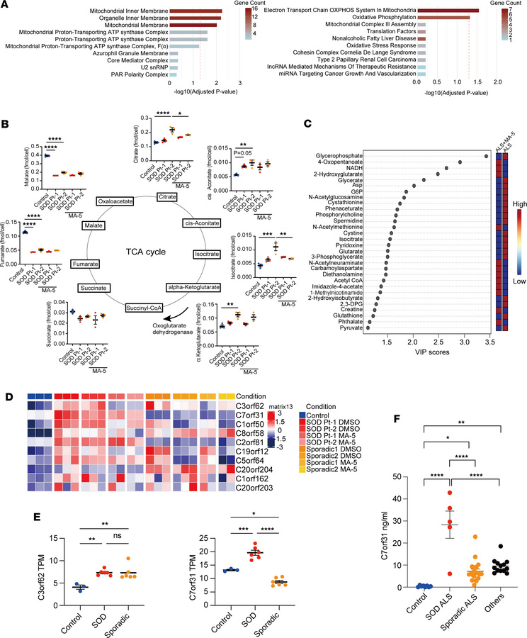 Effect of MA-5 on iPSC-derived motor neurons and potential clinical mark...