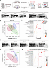 Metabolomic analysis of serum samples from rats undergoing the induced memb