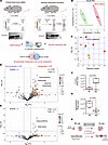 Identification of induced membrane-associated metabolites from purine metab
