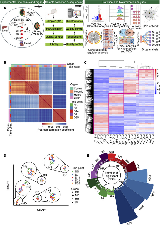 Overview of experimental design, data quality, and global transcriptiona...