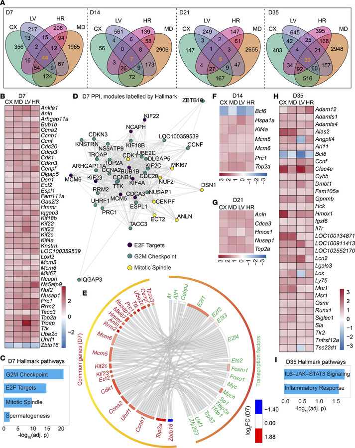 Shared transcriptional and pathway programs across organs in response to...