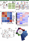Overview of experimental design, data quality, and global transcriptional p