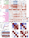 High-salt diet–induced hypertension dynamically regulates biological pathwa