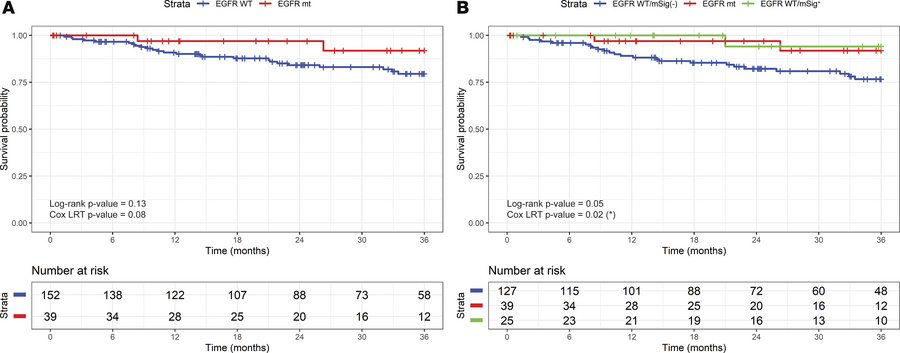 Three-year overall survival analysis based on EGFR-related signature gro...
