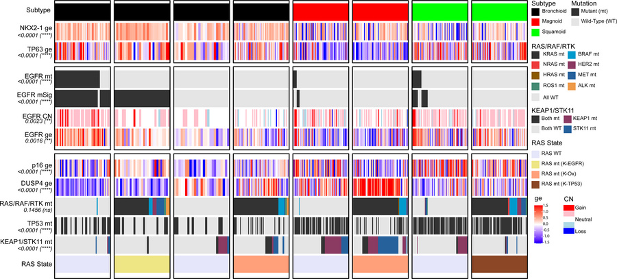 Integrative analysis of genomic alterations and gene expression across m...