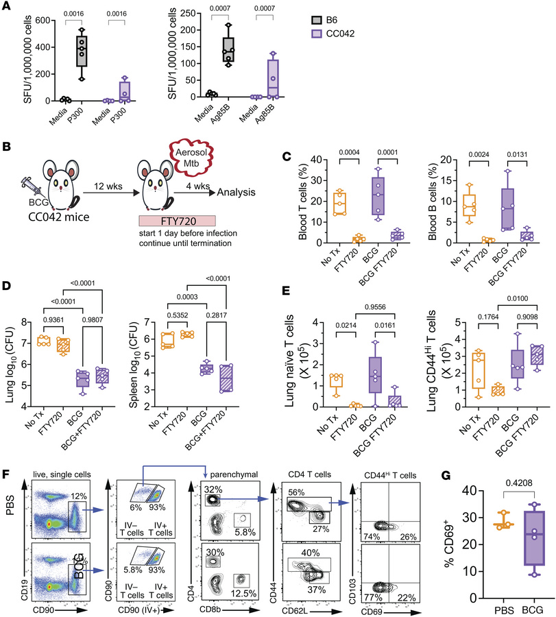 Protection of CC042 mice by BCG is not abrogated by FTY720 treatment.
(A...