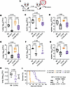 BCG protects CC042 mice against TB.