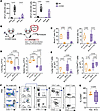 Protection of CC042 mice by BCG is not abrogated by FTY720 treatment.