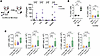 Subcutaneous BCG vaccination of CC042 mice does not result in HSC expansion