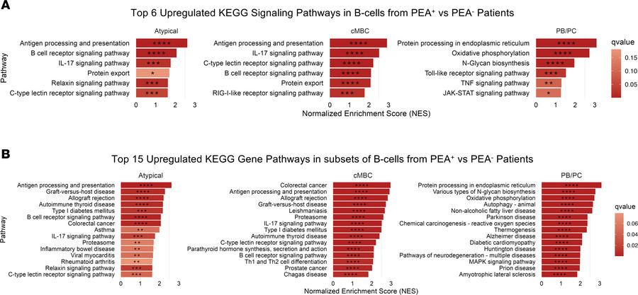 Elevated inflammatory pathway expression in PEA+ patients.
GSEA was perf...