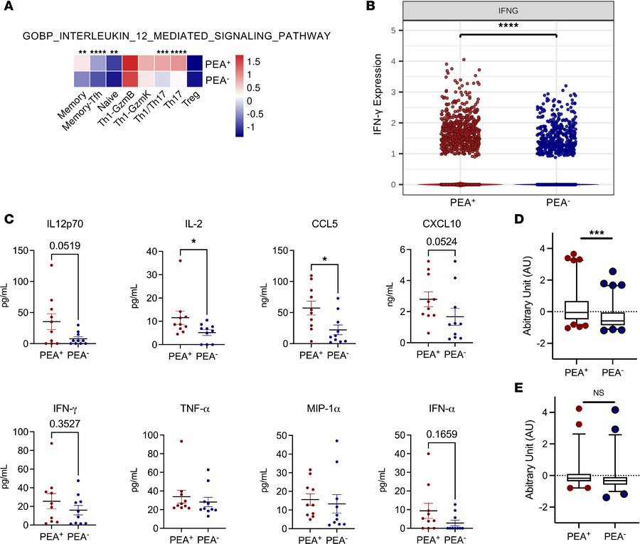 Increased IL-12 signaling pathway, IFN-γ, and Th1-associated cytokines i...