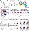Evidence of IFN-γ upregulation and clonal atypical memory B cell expansion