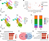 Paralleled upregulation of inflammatory programs in T cells from PEA+ patie