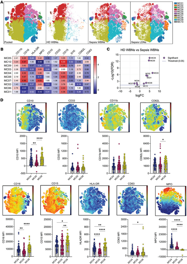 Characterization of sepsis and healthy donor neutrophils.
(A) optSNE plo...