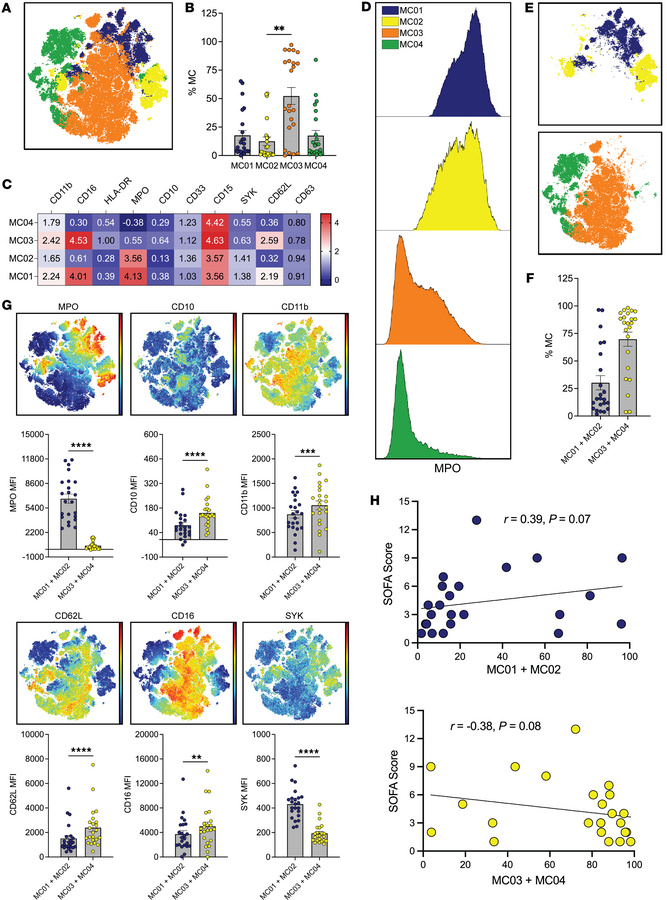Characterization of LDNs.
(A) optSNE plot of flow cytometry data overlai...