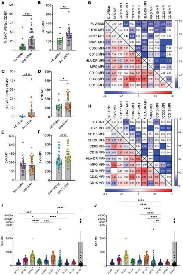 Characterization of SYK expression in WBNs and LDNs.
(A) Bar graph prese...