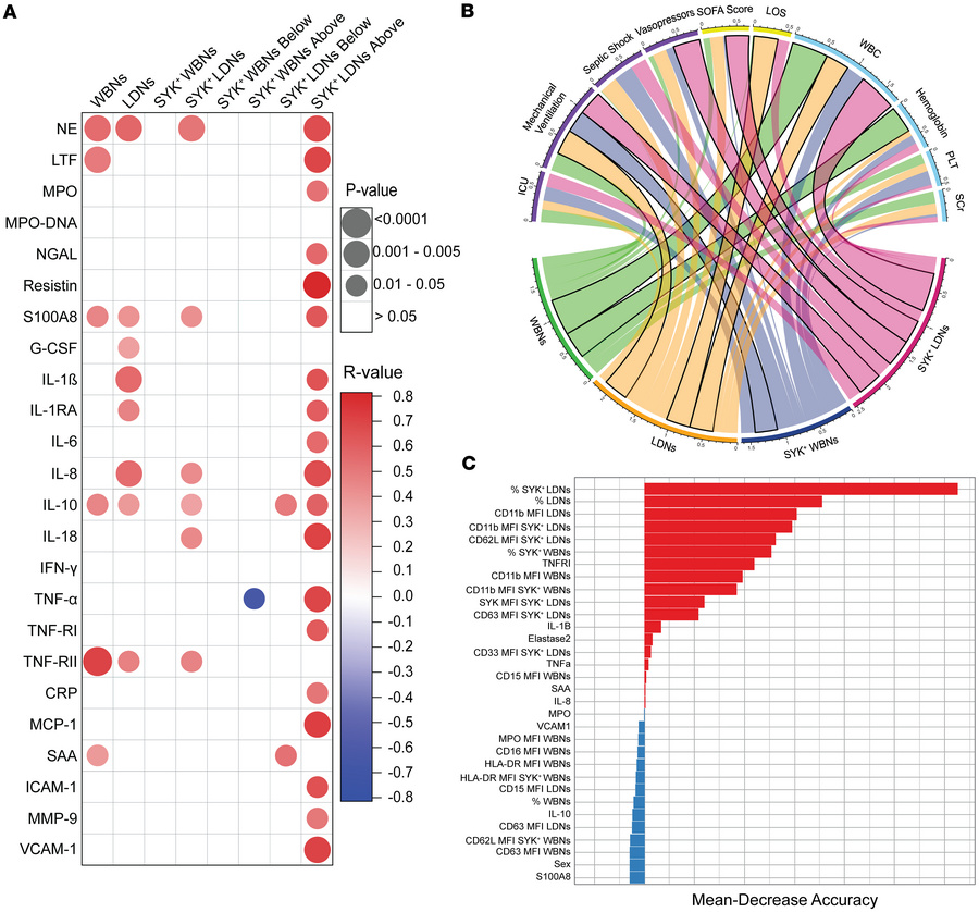 Correlations of WBNs, LDNs, SYK+ WBNs, and SYK+ LDNs with soluble biomar...