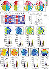 Characterization of sepsis and healthy donor neutrophils.