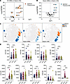 Characterization of sepsis LDNs versus healthy donor and sepsis WBNs.