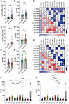 Characterization of SYK expression in WBNs and LDNs.