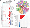 Correlations of WBNs, LDNs, SYK+ WBNs, and SYK+ LDNs with soluble biomarker