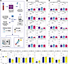 Functional assessment of NDNs and LDNs following LPS stimulation and SYK in