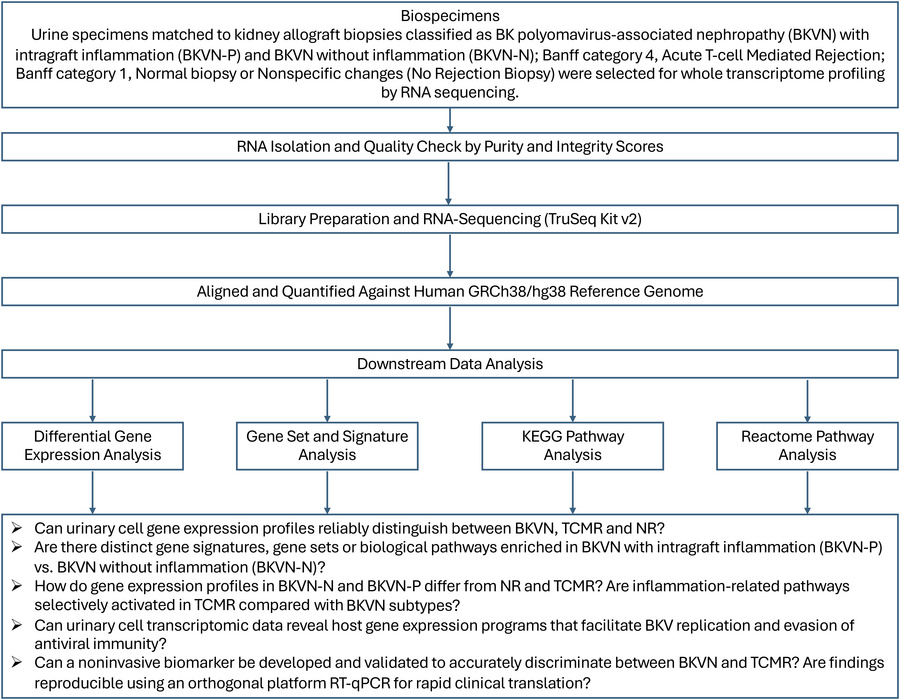 Workflow for RNA-seq of urine samples matched to kidney allograft biopsi...