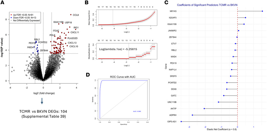 Transcriptomic signature discriminating TCMR from BKVN.
(A) Twenty-one u...