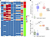 Banff lesion scores in kidney allograft biopsies and BKVN-VP1 mRNA copy num