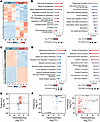 Transcriptomic and proteomic analyses of Clc-k2–/– TALs and DCTs versus WT