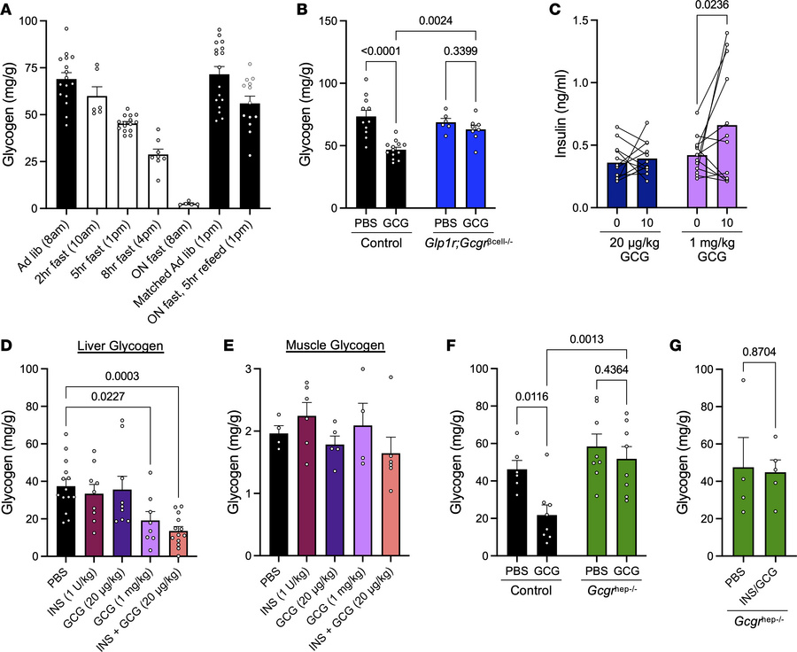 Glucagon and insulin interact to decrease hepatic glycogen.
(A) Hepatic ...