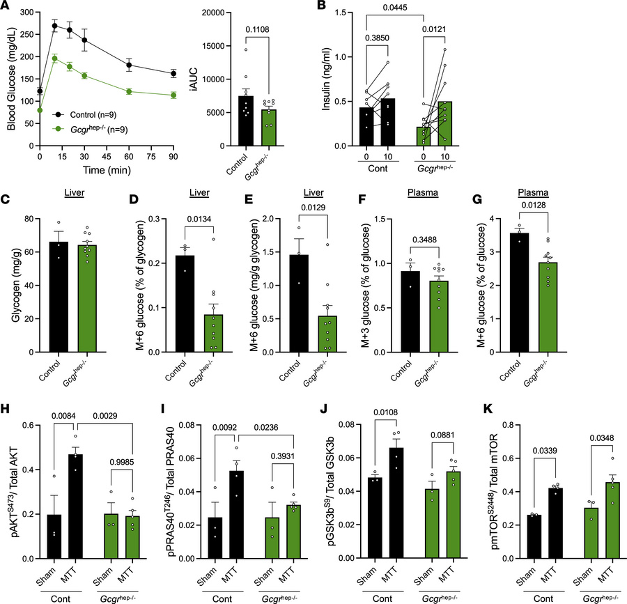 Hepatic glucagon action is required for normal storage of meal glucose a...