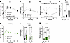 Hepatic glycogen repletion is improved after mixed nutrient feeding through